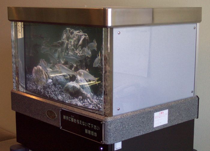 魚八景 (Sakana Hakkei) virtual aquarium by NEC, a source of inspiration for the Fish Life